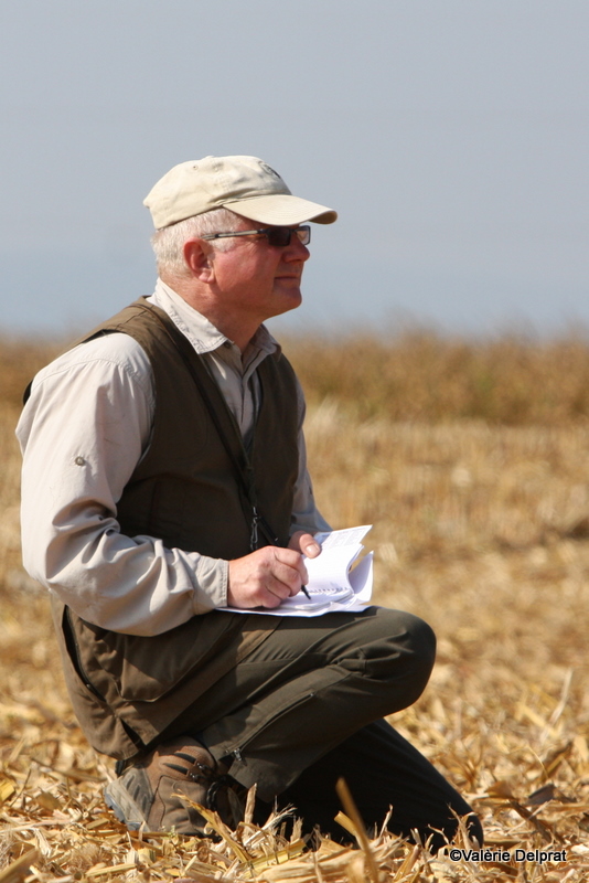 Field Erstein 09 (77).JPG